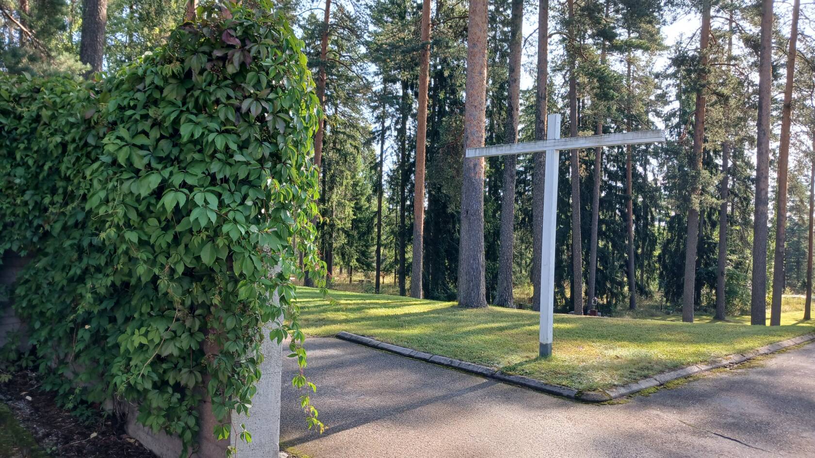 Sisääntuloalue Rauhannummen kappelille, vihreän köynnöksen peittämä betoniaita sekä valkoinen puuristi, takana mäntyjä.